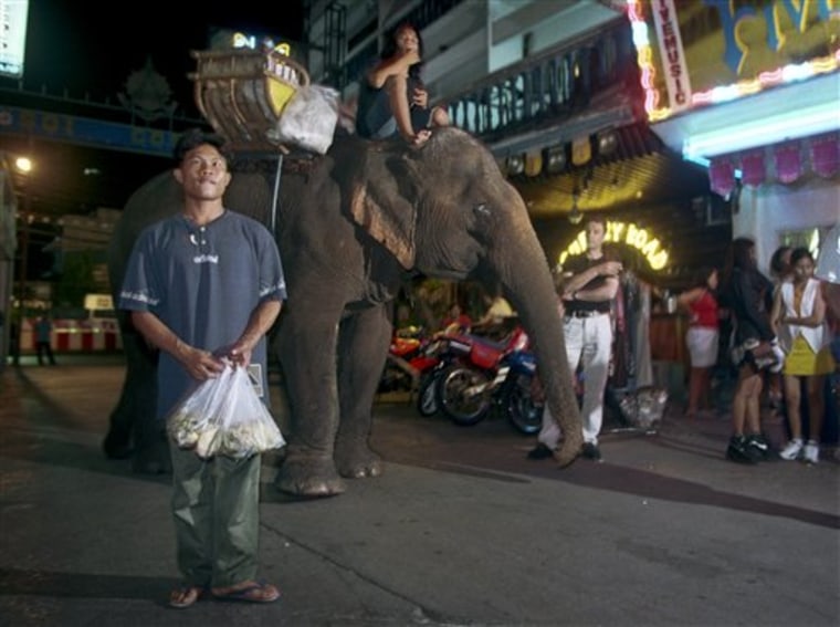 Mahout Supoj Salangam waits for customers in a popular bar area in Bangkok in 1999. Bangkok officials in an attempt to keep elephants off the streets say they will impose a $310 fine on anyone caught handing out bunches of bananas or greenery to the animals.